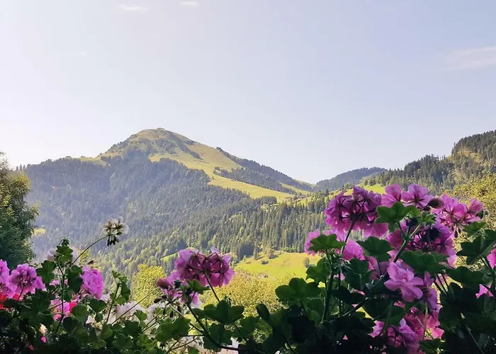 Appartement Jodlhof *